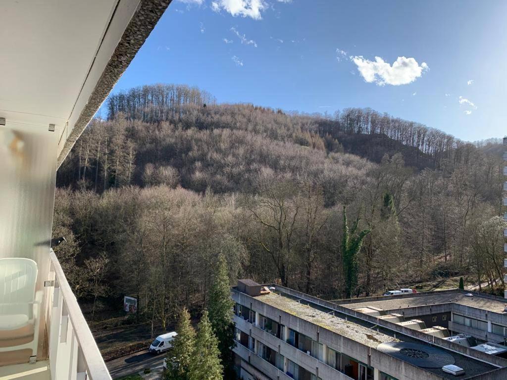 Mariposa 3 Incl Pool & Sauna * Bad Harzburg